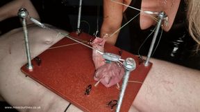 derrick shanks recommends torture sex video pic